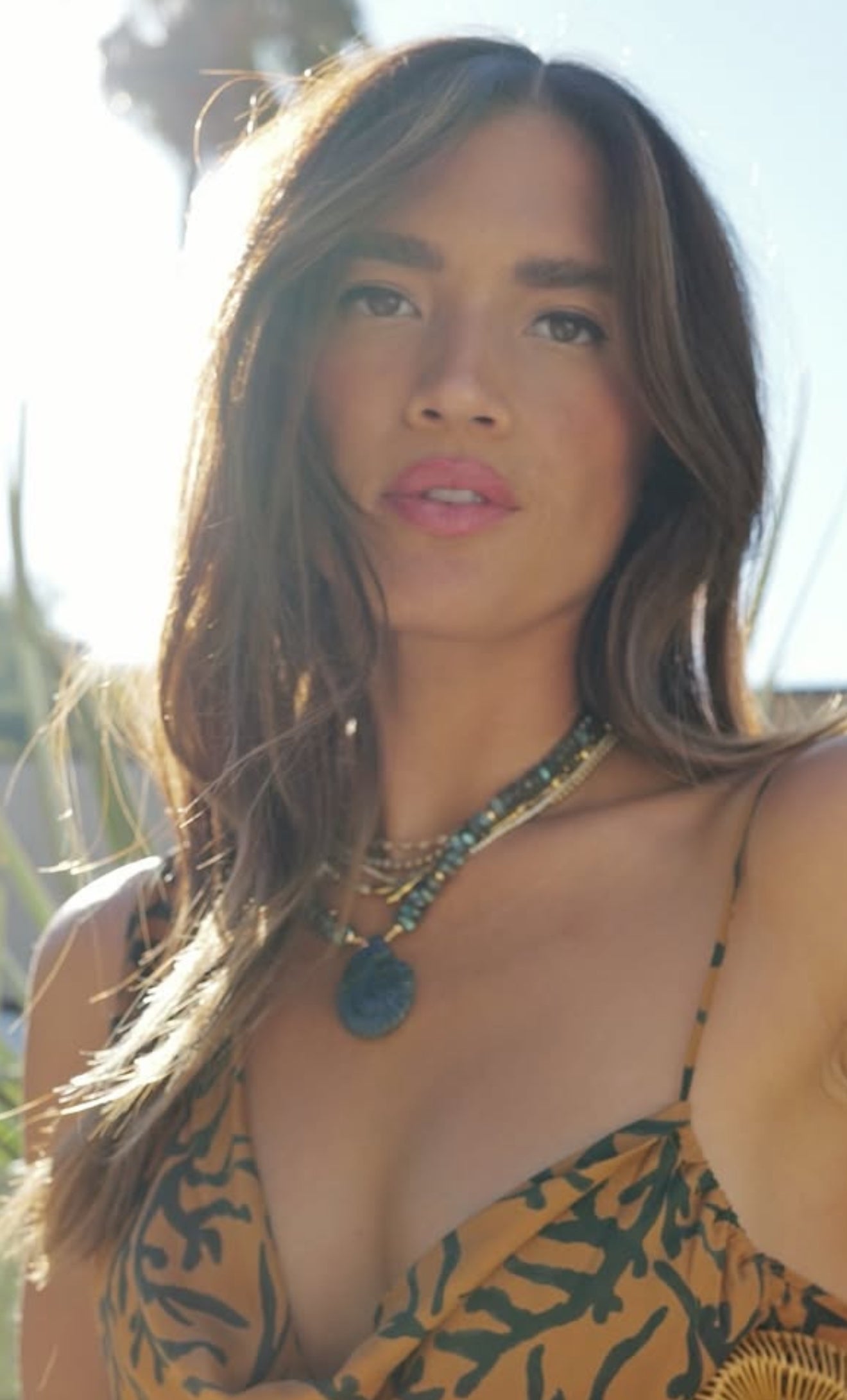 LABRADORITE & CARVED SHELL NECKLACES